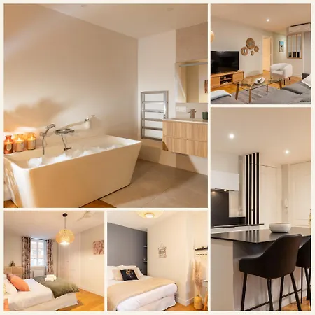 Coeur Presqu'ile Spacieux Ac Apartment *